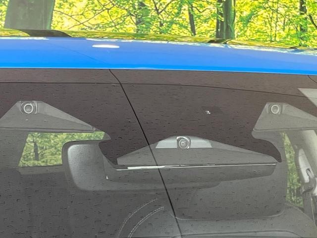 26402289_carP_l_13.jpg