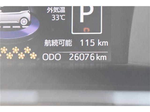 25308994_carP_l_6.jpg