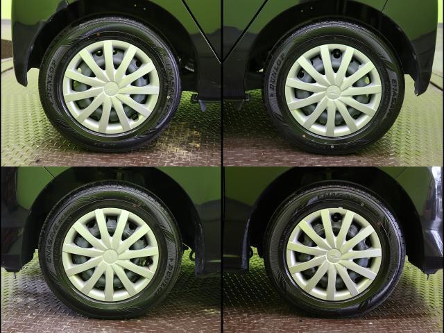 24947440_carP_l_9.jpg