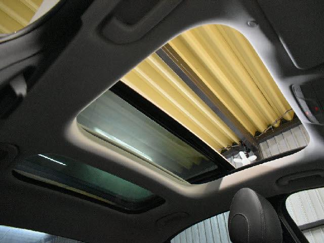 23540895_carP_l_10.jpg