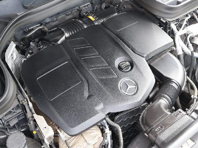 23545516_carP_l_13.jpg