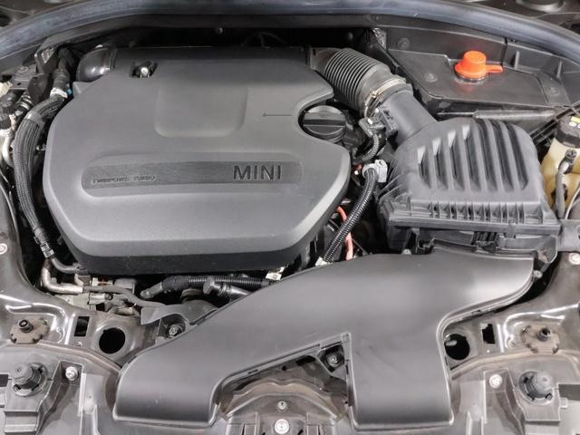 23555141_carP_l_14.jpg