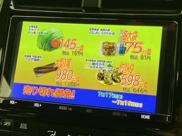 25184937_carP_l_7.jpg