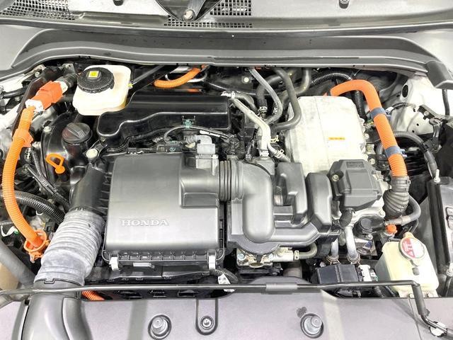 25942859_carP_l_20.jpg