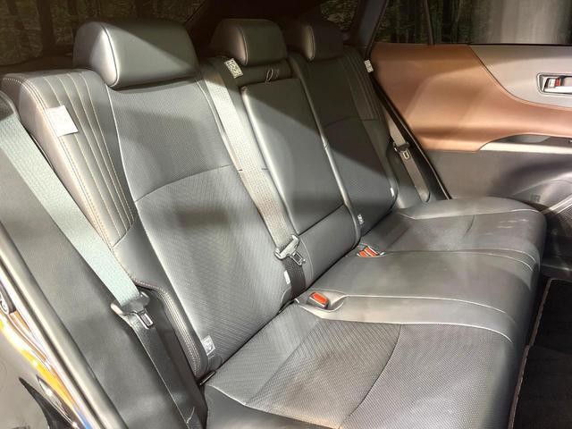 25652609_carP_l_2.jpg