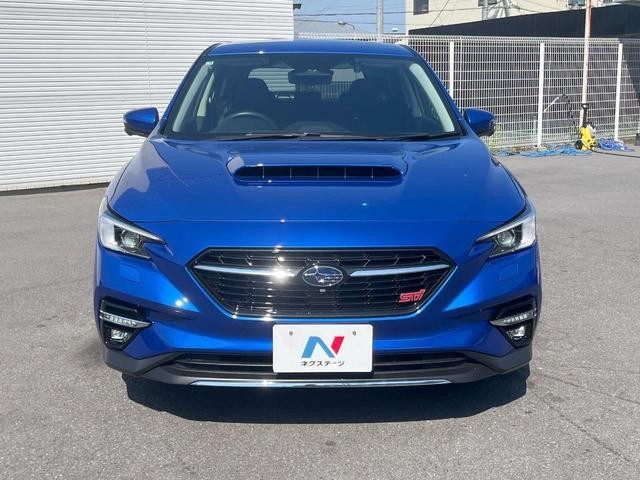 25096585_carP_l_16.jpg