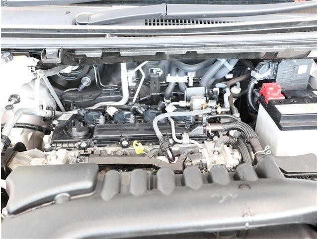 25308997_carP_l_18.jpg