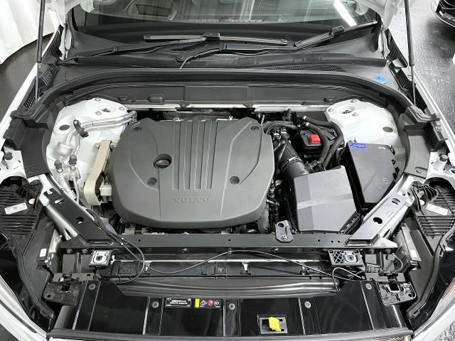 24446558_carP_l_17.jpg