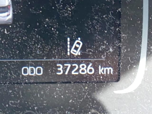 26929972_carP_l_2.jpg
