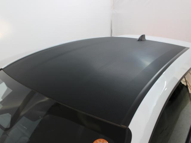 24030824_carP_l_9.jpg