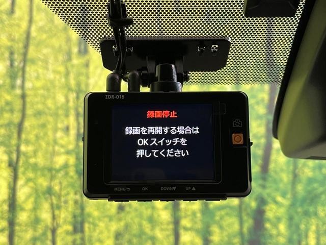 26356506_carP_l_10.jpg