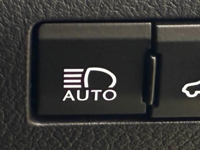 25899201_carP_l_14.jpg