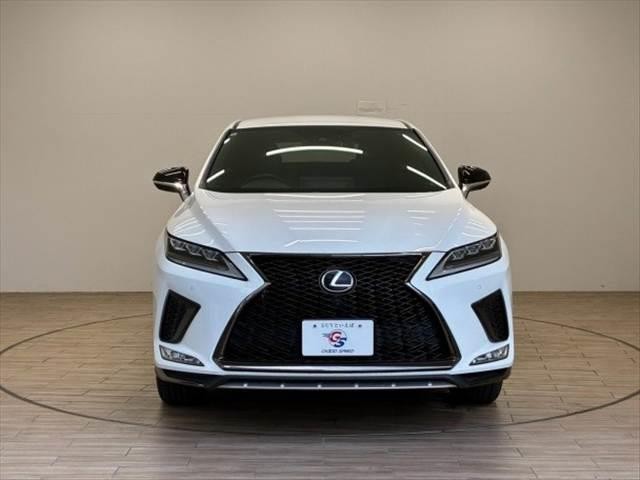 25899201_carP_l_9.jpg
