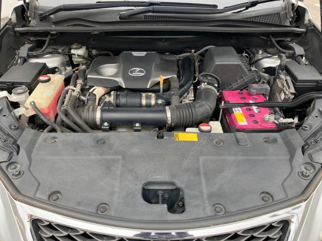 23556142_carP_l_18.jpg