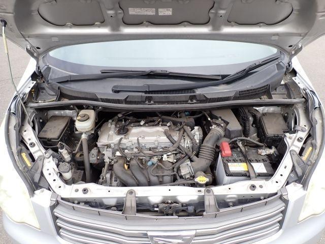 24381384_carP_l_17.jpg