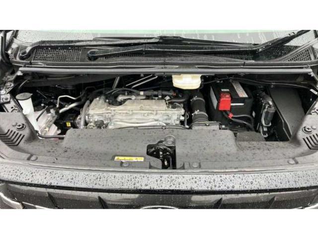 24030896_carP_l_20.jpg