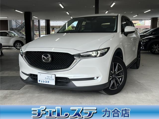 25792890_carP_l_1.jpg