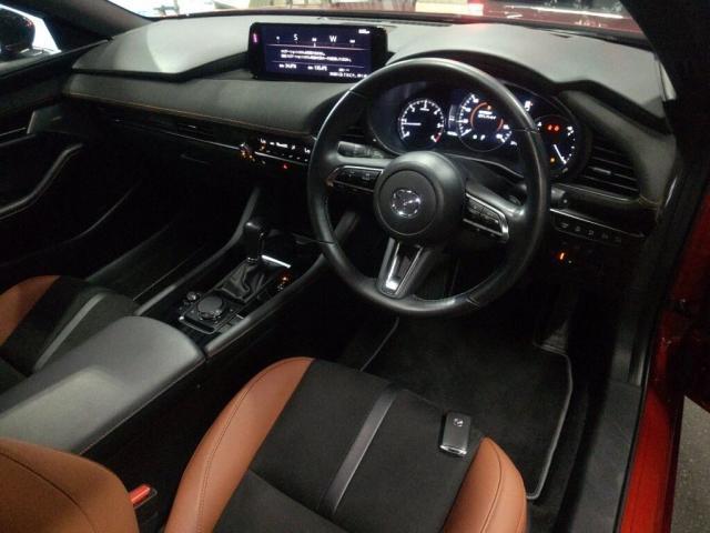 25123295_carP_l_15.jpg