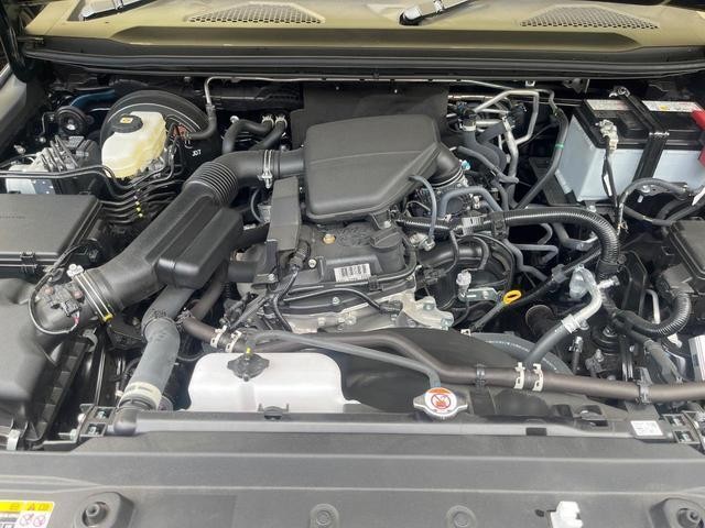 25792910_carP_l_16.jpg