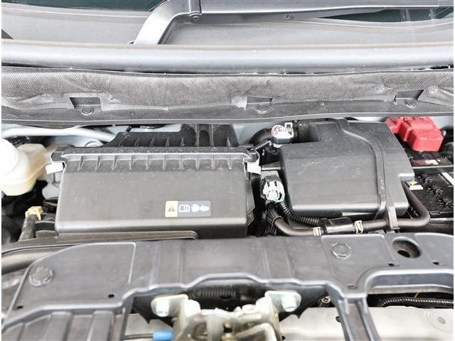 25309004_carP_l_18.jpg