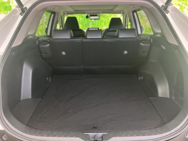 25647060_carP_l_17.jpg