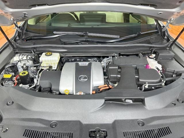 25241939_carP_l_18.jpg