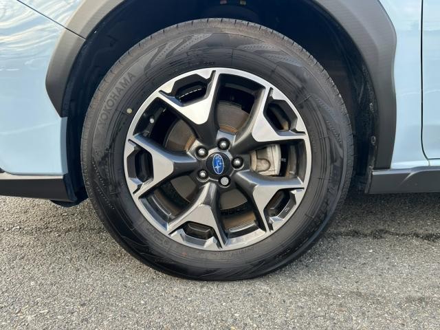 26706777_carP_l_11.jpg