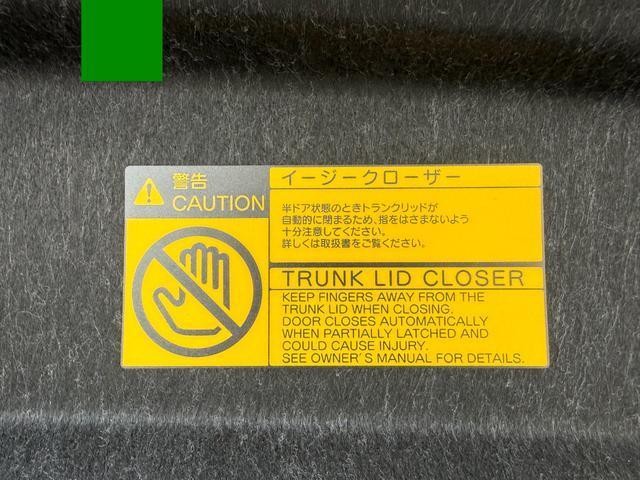 26441325_carP_l_8.jpg