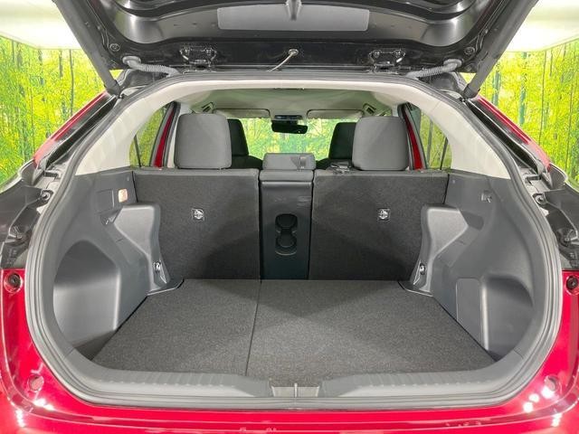 25056145_carP_l_2.jpg
