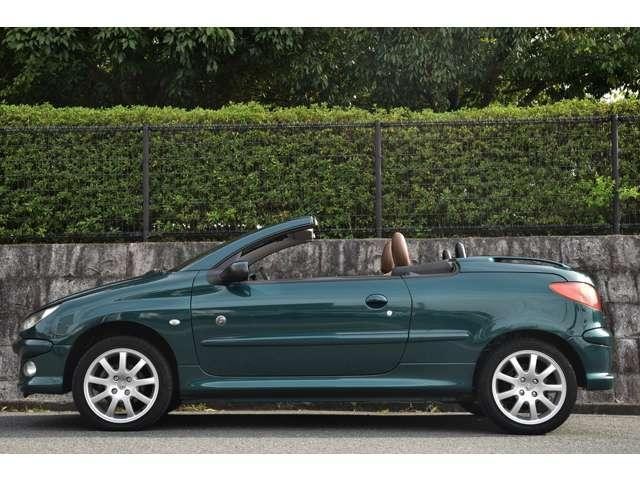 23315890_carP_l_9.jpg
