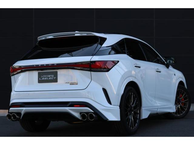 24280889_carP_l_3.jpg
