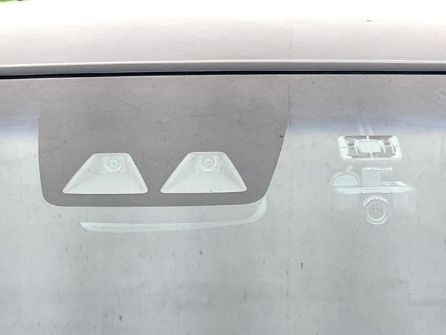 25486559_carP_l_10.jpg