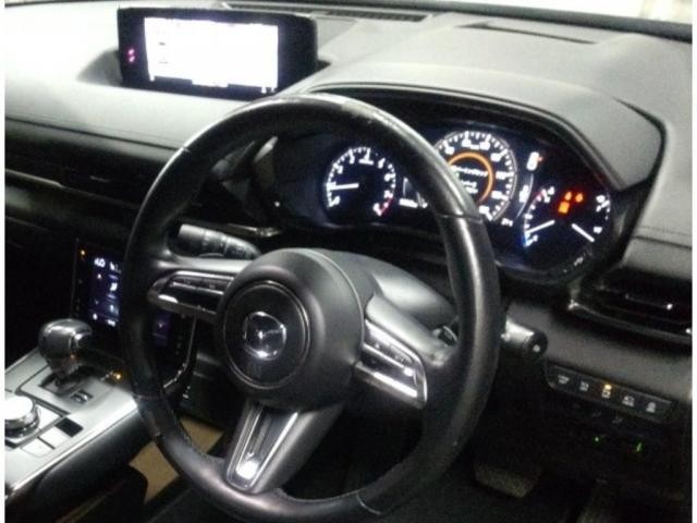 26057821_carP_l_15.jpg