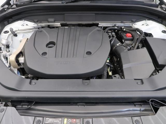 26600416_carP_l_16.jpg