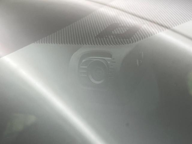 27072200_carP_l_17.jpg