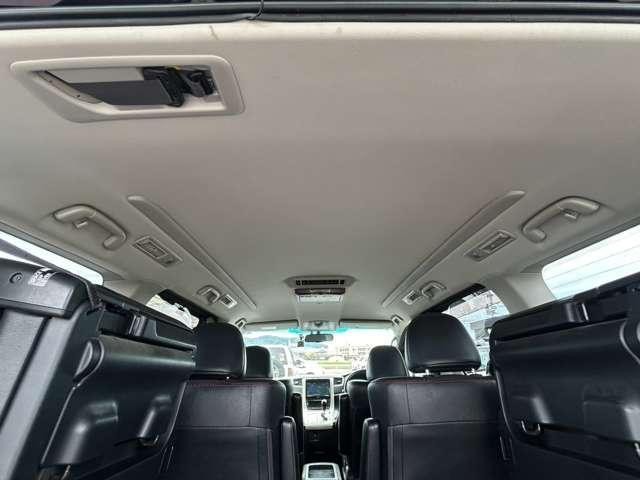 26270244_carP_l_12.jpg