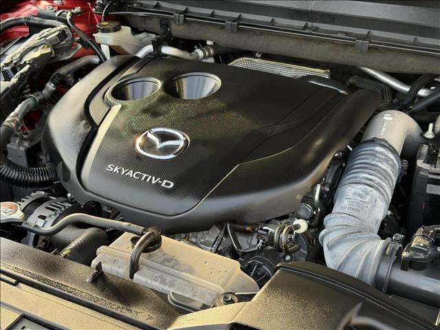 11abe00f71bdb522fca77c5926088d7c.jpg