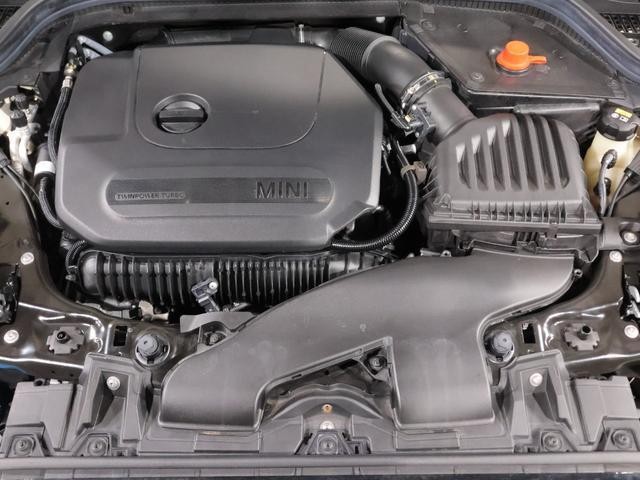 23574737_carP_l_14.jpg