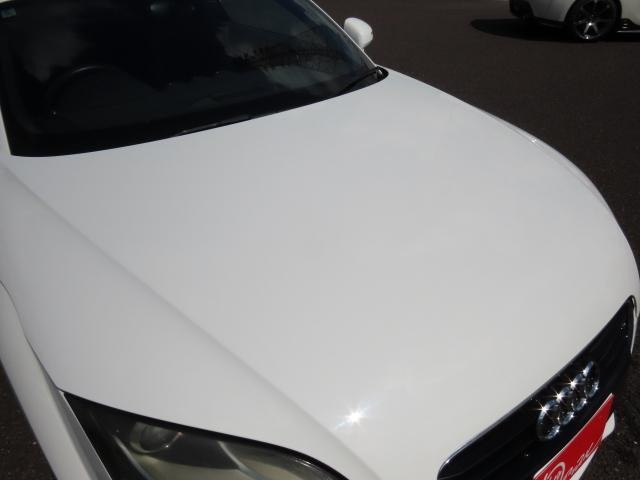 26252270_carP_l_12.jpg