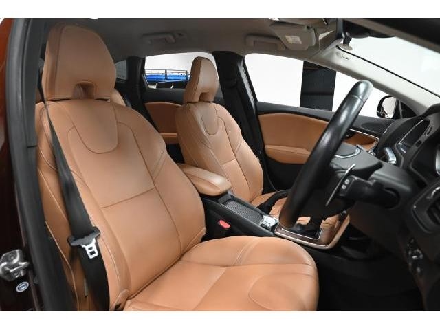 25565822_carP_l_6.jpg