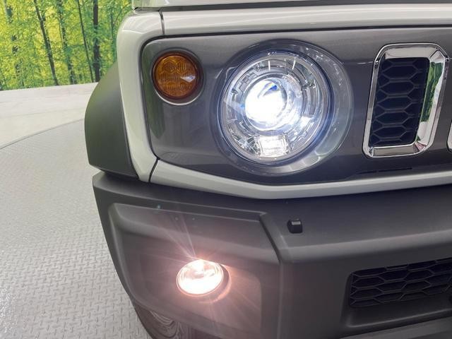 27094295_carP_l_8.jpg