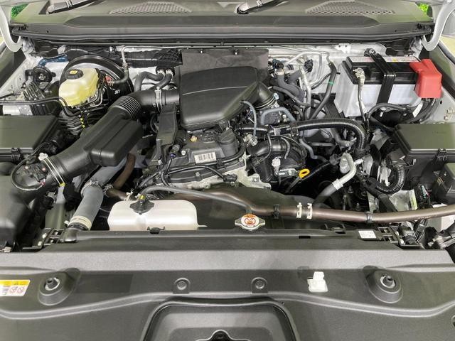 26816457_carP_l_16.jpg