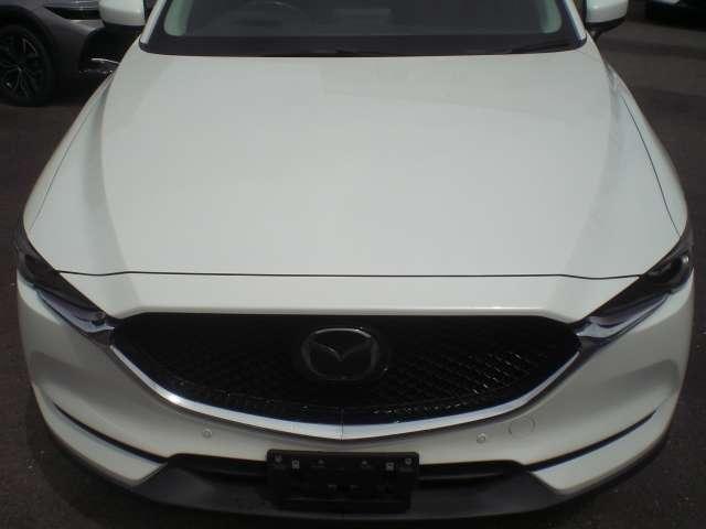 24281368_carP_l_11.jpg