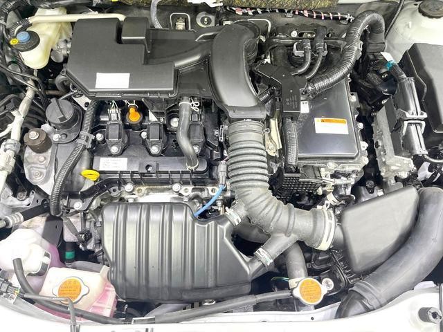 25507289_carP_l_12.jpg