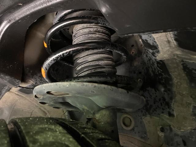 25942882_carP_l_20.jpg