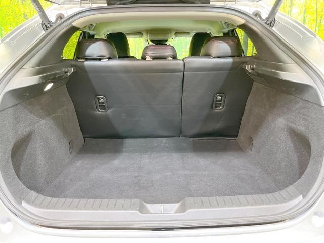 26794100_carP_l_2.jpg