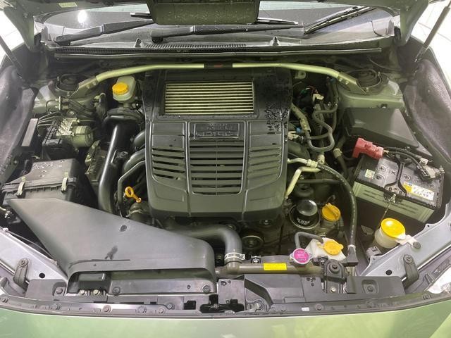 25904538_carP_l_16.jpg
