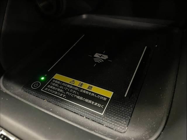 25521740_carP_l_14.jpg