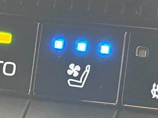 0208369A20260913D00209.jpg