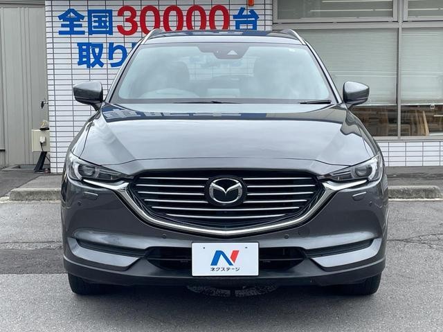 26315026_carP_l_9.jpg